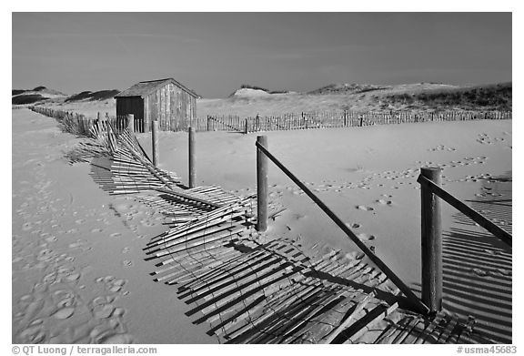 Fallen sand fence and footprints, Cape Cod National Seashore. Cape Cod, Massachussets, USA (black and white)