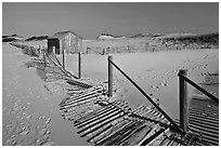 Fallen sand fence and footprints, Cape Cod National Seashore. Cape Cod, Massachussets, USA ( black and white)