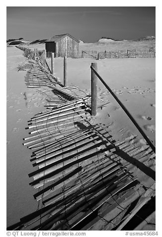 Fallen sand barrier, Cape Cod National Seashore. Cape Cod, Massachussets, USA (black and white)