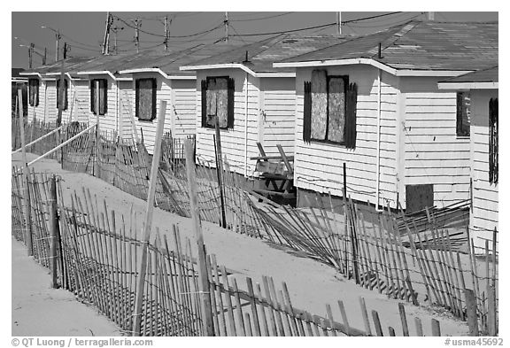 Row of boarded up cottages, Truro. Cape Cod, Massachussets, USA (black and white)