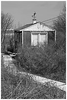 Cottage with weatherwane, Truro. Cape Cod, Massachussets, USA ( black and white)
