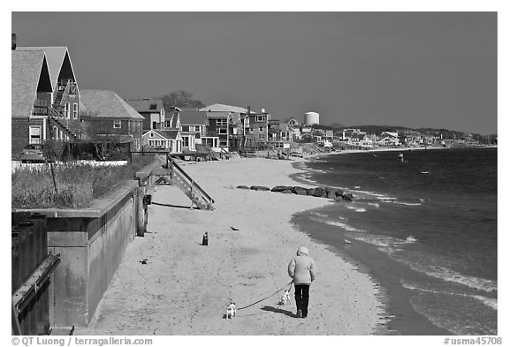 Woman walking two dogs on beach in winter, Provincetown. Cape Cod, Massachussets, USA (black and white)