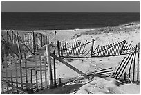 Sand Fence, tourist, and ocean late afternoon, Cape Cod National Seashore. Cape Cod, Massachussets, USA (black and white)