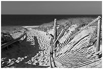 Path to beach and ocean framed by sand fences, Cape Cod National Seashore. Cape Cod, Massachussets, USA ( black and white)