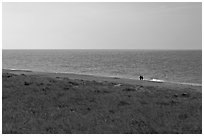 Distant couple on beach, Cape Cod National Seashore. Cape Cod, Massachussets, USA ( black and white)