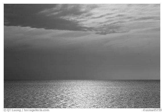 Bay and Sky, Cape Cod National Seashore. Cape Cod, Massachussets, USA (black and white)