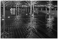 Tree reflections on wet boardwalk. Boston, Massachussets, USA (black and white)