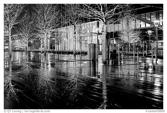 Trees reflected on boardwalk, and modern building at night. Boston, Massachussets, USA (black and white)