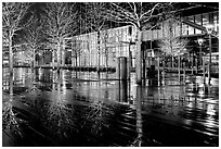 Trees reflected on boardwalk, and modern building at night. Boston, Massachussets, USA (black and white)