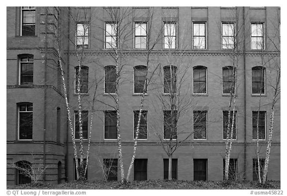 Facade of brick building, Harvard University, Cambridge. Boston, Massachussets, USA (black and white)