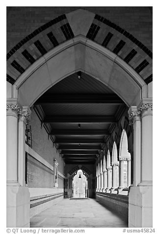 Gallery, Memorial Hall,  Harvard University, Cambridge. Boston, Massachussets, USA