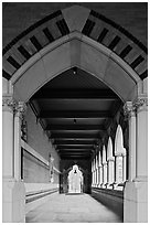 Gallery, Memorial Hall,  Harvard University, Cambridge. Boston, Massachussets, USA (black and white)