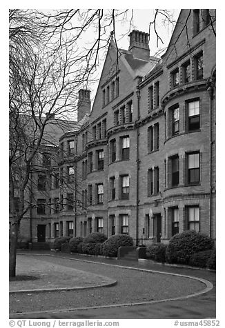 Harvard University buildings, Harvard University, Cambridge. Boston, Massachussets, USA (black and white)