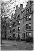 Harvard University buildings, Harvard University, Cambridge. Boston, Massachussets, USA (black and white)