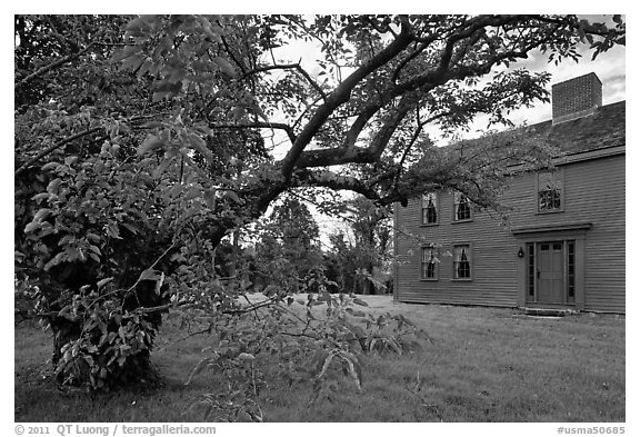 Tree and Samuel Brooks House, Minute Man National Historical Park. Massachussets, USA (black and white)
