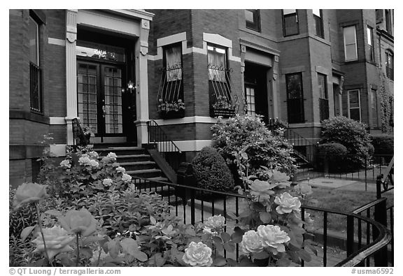 Roses and brick houses on Beacon Hill. Boston, Massachussets, USA (black and white)