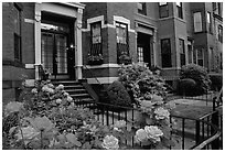 Flowers and brick houses on Beacon Hill. Boston, Massachussetts, USA ( black and white)