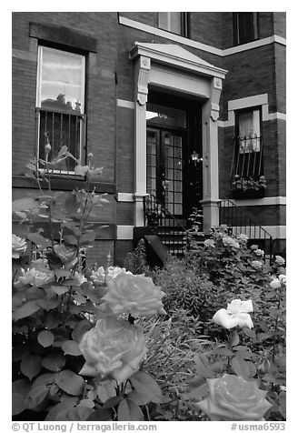 Flowers and brick houses on Beacon Hill. Boston, Massachussets, USA (black and white)