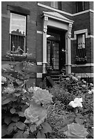 Flowers and brick houses on Beacon Hill. Boston, Massachussets, USA (black and white)