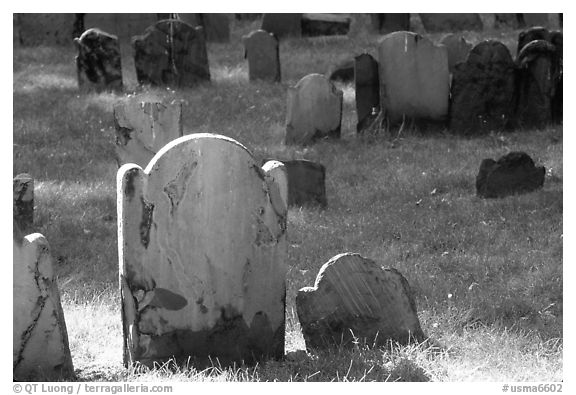 Tombstones in Copp's Hill cemetery. Boston, Massachussetts, USA (black and white)