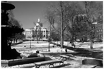 Boston common in winter. Boston, Massachussetts, USA ( black and white)