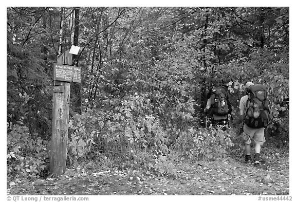 Backpackers hiking into autumn woods at Appalachian trail marker. Maine, USA (black and white)