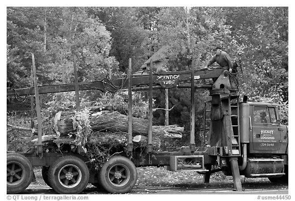 Tree pruning truck, Rockwood. Maine, USA