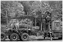 Tree pruning truck, Rockwood. Maine, USA (black and white)