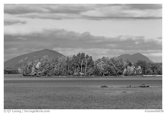 Deer Island on Moosehead Lake, afternoon. Maine, USA (black and white)