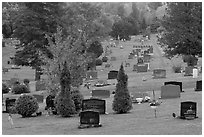 Grassy cemetery in the fall, Greenville. Maine, USA ( black and white)