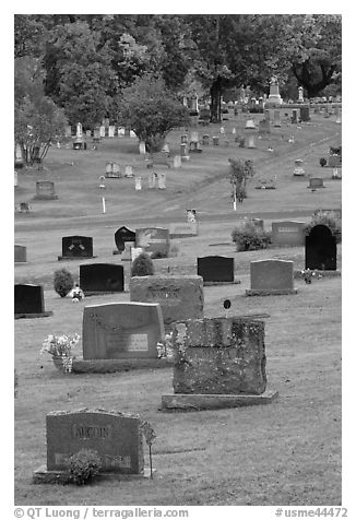 Headstones, Cemetery, Greenville. Maine, USA (black and white)