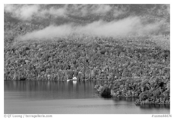 Shore, autumn forest, and clouds. Maine, USA (black and white)