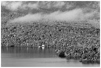 Shore, autumn forest, and clouds. Maine, USA (black and white)