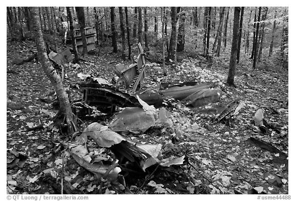 B-52 wreck scattered in autum forest. Maine, USA (black and white)