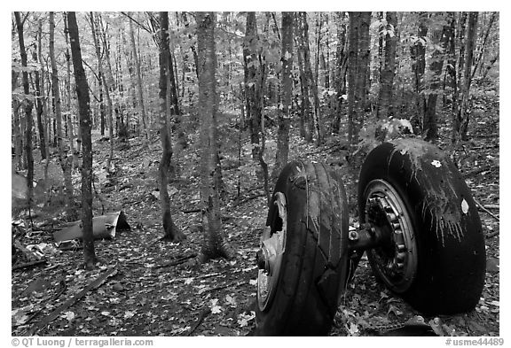 Landing gear of crashed B-52 in woods. Maine, USA (black and white)