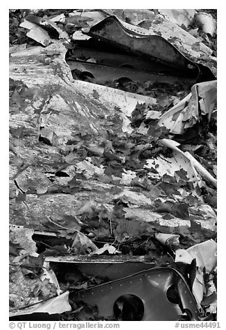 Fall leaves on wreck of crashed B-52. Maine, USA (black and white)