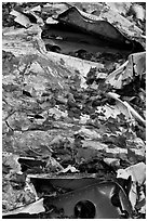 Fall leaves on wreck of crashed B-52. Maine, USA (black and white)