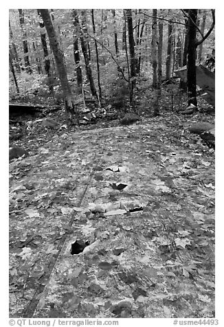 Wreckage of B-52 on Elephant Mountain. Maine, USA (black and white)