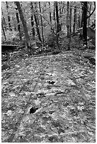 Wreckage of B-52 on Elephant Mountain. Maine, USA (black and white)