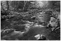 Stream in autumn near Elephant Mountain. Maine, USA (black and white)