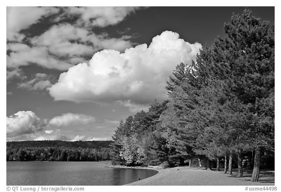 Beach on Moosehead lakeshore, Lily Bay State Park. Maine, USA