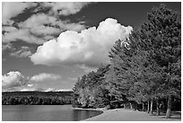 Beach on Moosehead lakeshore, Lily Bay State Park. Maine, USA (black and white)