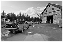 Trucks with moose lining up at checking station, Kokadjo. Maine, USA ( black and white)