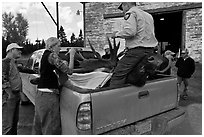 Inspectors recording antler length of killed moose, Kokadjo. Maine, USA ( black and white)