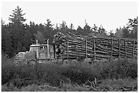 Truck loaded with tree logs. Maine, USA (black and white)