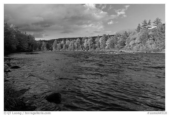 Fast-flowing Penobscot River and fall foliage. Maine, USA