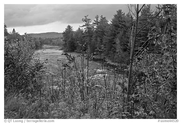 Penobscot River in the fall. Maine, USA (black and white)