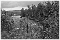 Penobscot River in the fall. Maine, USA (black and white)