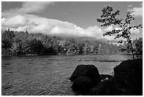 Penobscot River, boulders, and trees in fall. Maine, USA (black and white)