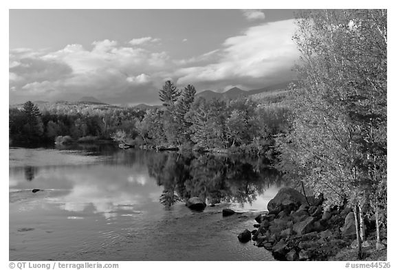 Trees in fall foliage reflected in wide  Penobscot River. Maine, USA (black and white)